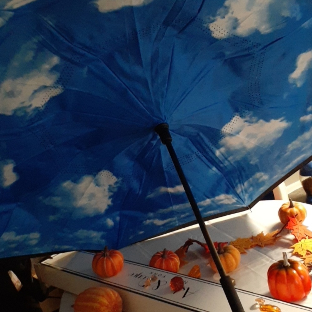 Reversible umbrellas - Picture 4 of 6